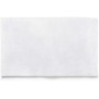 Rayen Filtro per cappa in poliestere (45x54)cm - guanti inclusi