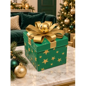 Scatola Pacco Regalo Verde H 20 cm