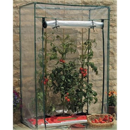 Serra per pomodori con copertura in PVC (L.100xP.50xH.150)cm
